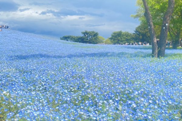 【GW直前】愛車のチェックはお済みですか？