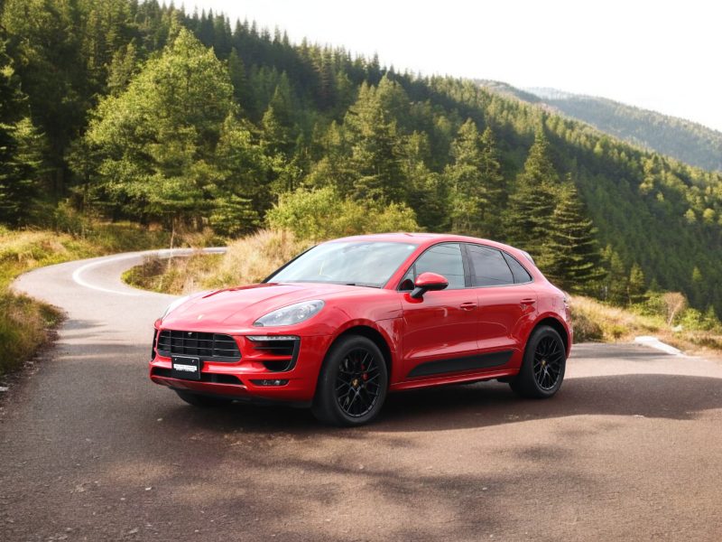 マカンGTS（Type1）<br>ツートンレザーインテリアパッケージ<br>スポーツエグゾーストシステム<br>ドライバーメモリーパッケージ<br>サラウンドビューモニター